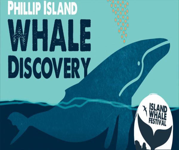 philip-island-whale-festival